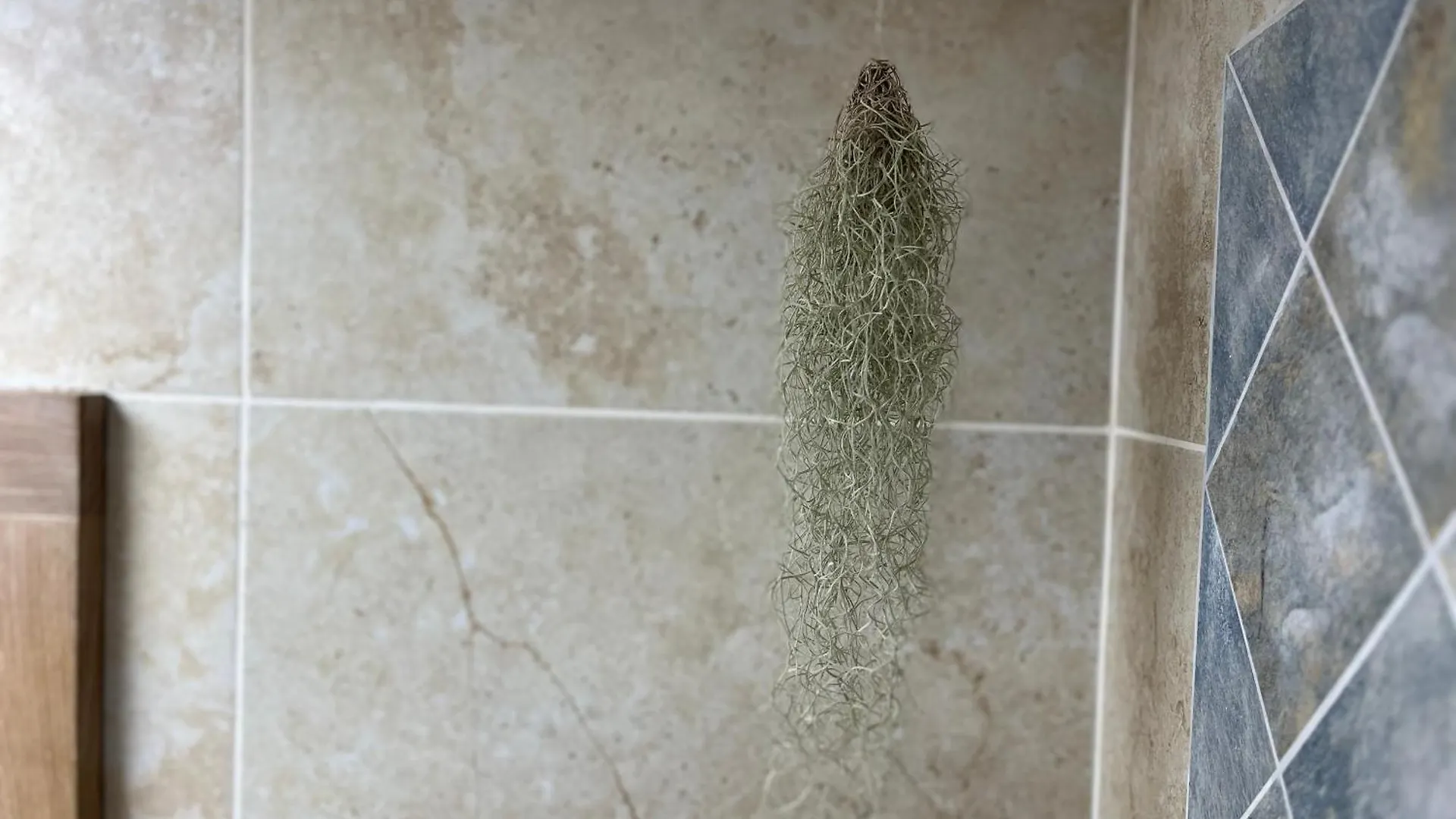 Appartement Climatise Vue Sur Foret Tropicale - Proche De La Mer Пор-Луи 0*,  Гваделупа