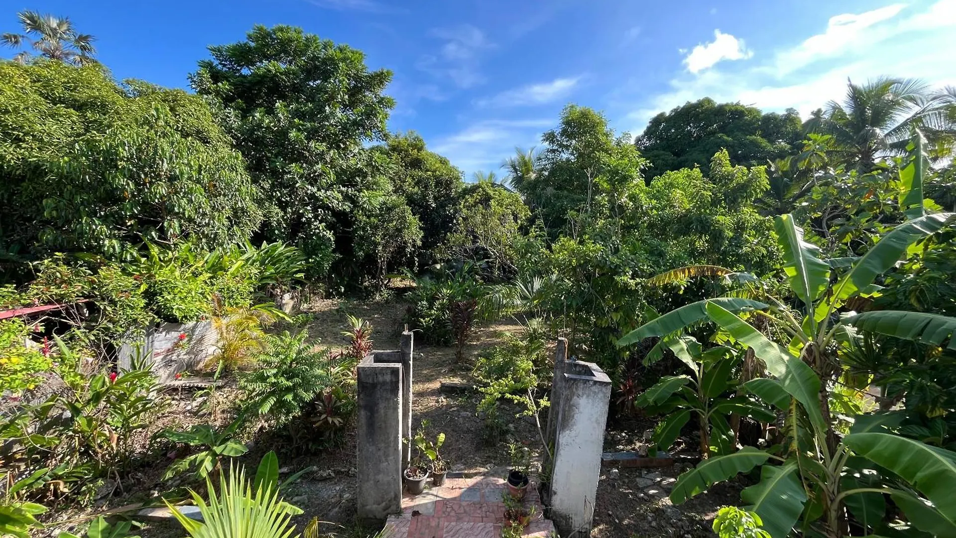 Apartment Appartement Vue Sur Foret Tropicale Et Proche De La Mer Port-Louis